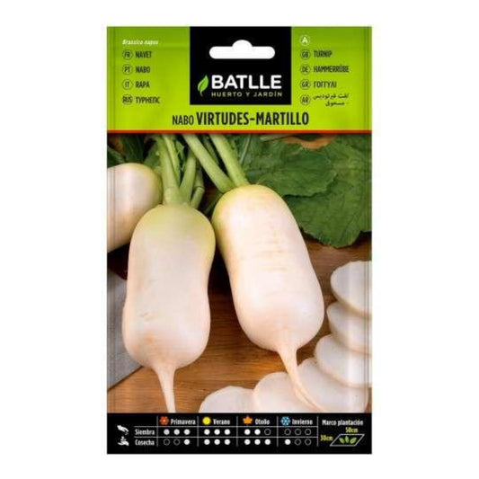 Graines de navet Virtudes Martillo très précoces Batlle