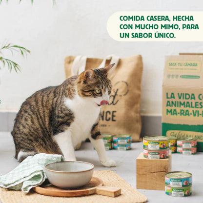 Boîte complète de ragoût traditionnel de bœuf et poulet pour chats Wild Balance 80 g