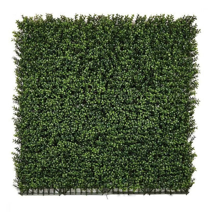 Vertikal konstgjord trädgård Buxus Nortene 1x1 m