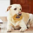 Pressad ring av kalvskinn Snack Natural Nobleza 20 st