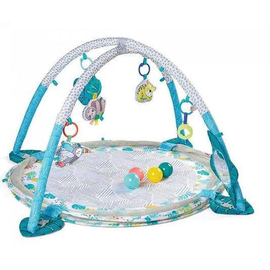 3-in-1 Activity Gym