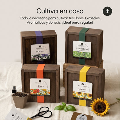 Kit de Cultivo de Girasol en Caja de Madera – Regalo Original Planeta Huerto