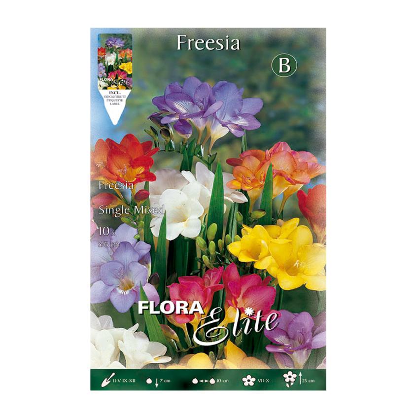 Freesia-bollen, dubbele mix, 10 stuks
