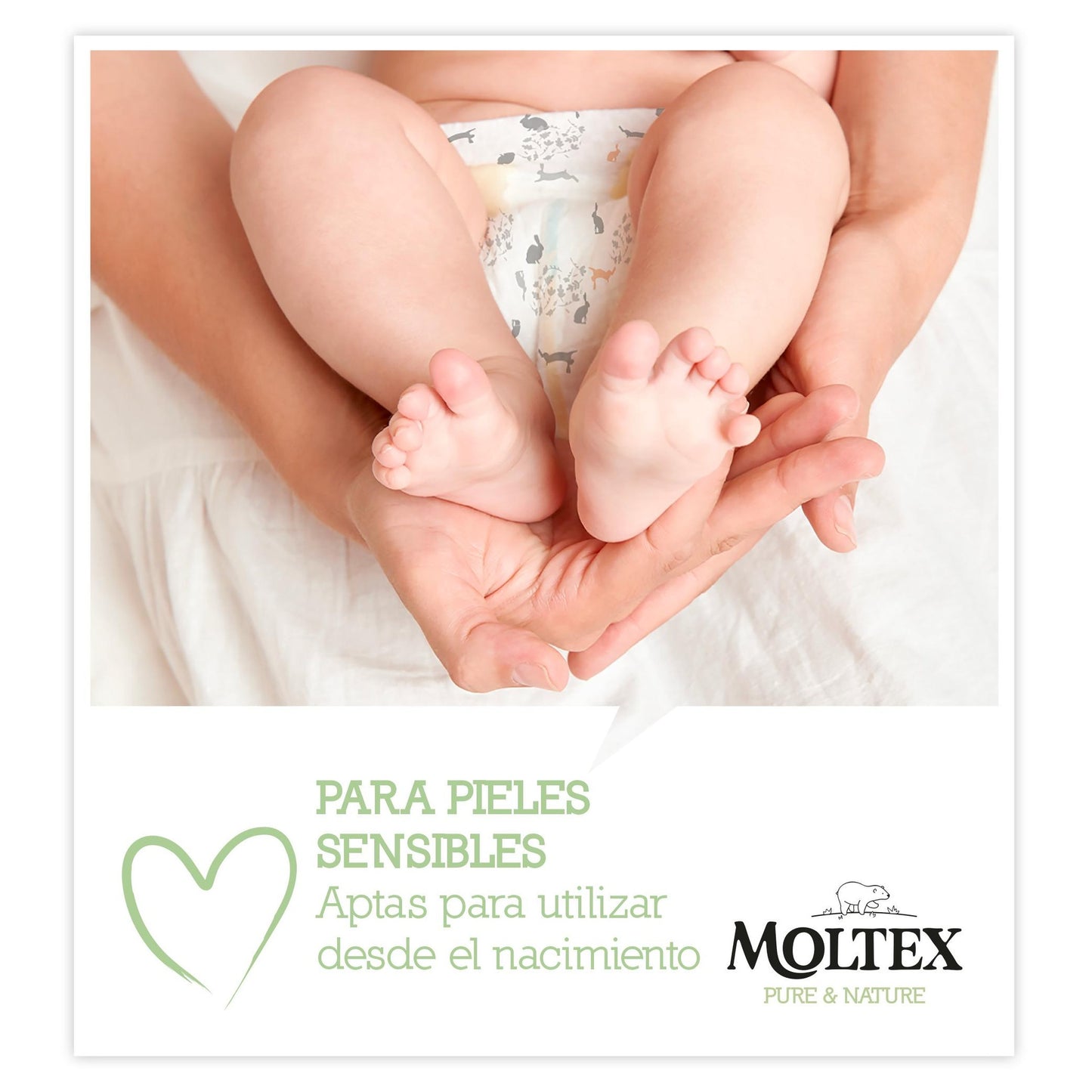 Pack 6 x Lingettes Moltex Pure & Nature 60 unités