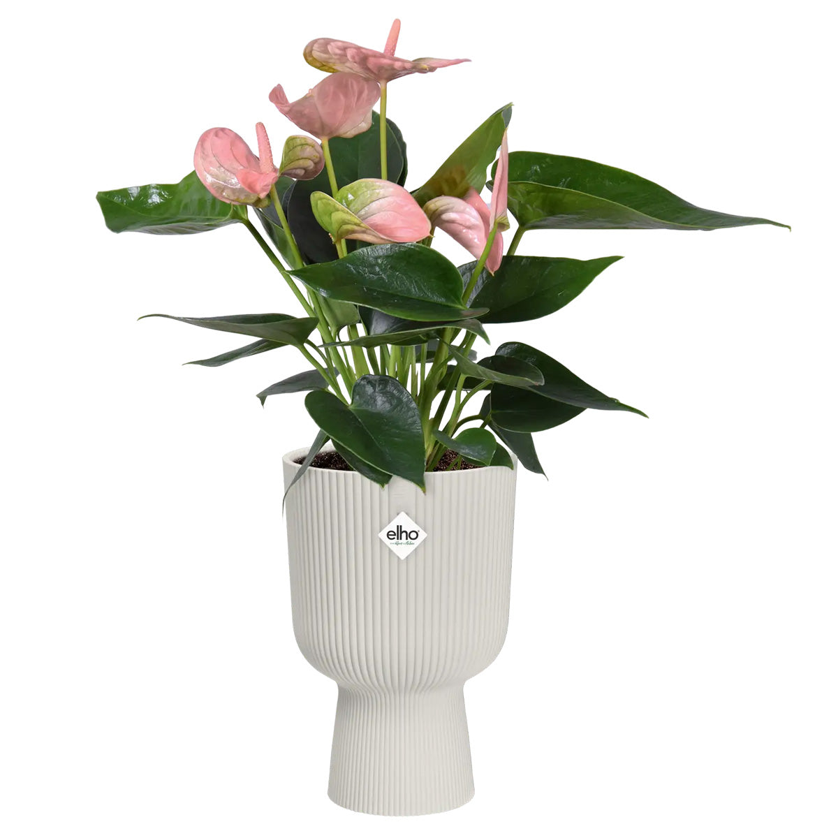 Elho Vibes Fold Coupe Silky White Plant Pot 14 cm