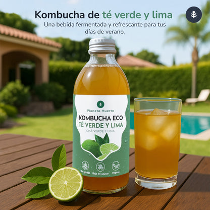 Pack 12x Kombucha ECO té verde y lima Planeta Huerto 330 ml