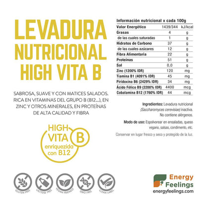 Pack of 2x Energy Feelings Nutritional Yeast Flakes with Vitamin B12, 250 g