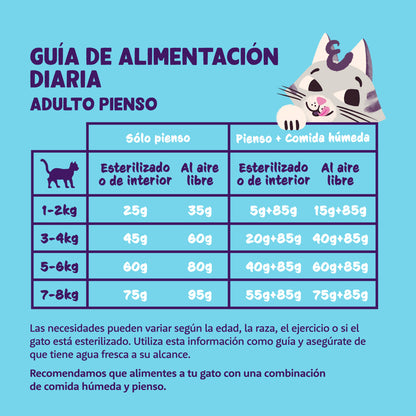 Kattfoder med färsk kyckling från Edgard & Cooper 4 kg