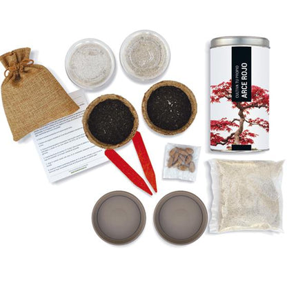 Kit regalo per coltivare il tuo acero rosso in casa, Garden Pocket