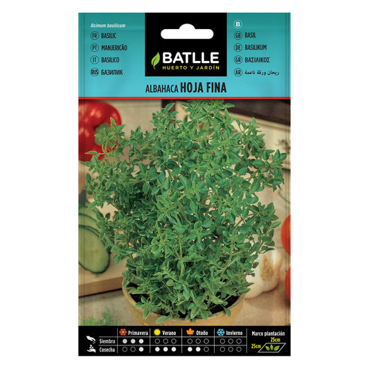 Batlle fine leaf basil seeds