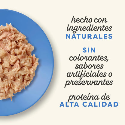 Applaws Cat Selezione di pesce Multipack 12 x 70 g Cibo umido per gatti