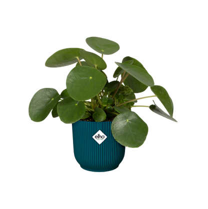 Doniczka Vibes Fold Round Deep Blue Elho 22 cm