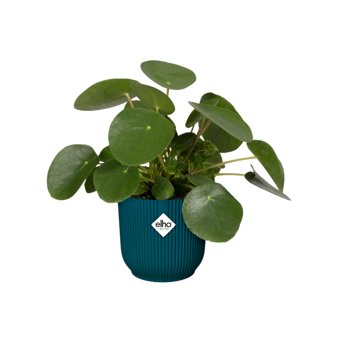 Elho Vibes Fold Round Deep Blue Plant Pot 25 cm