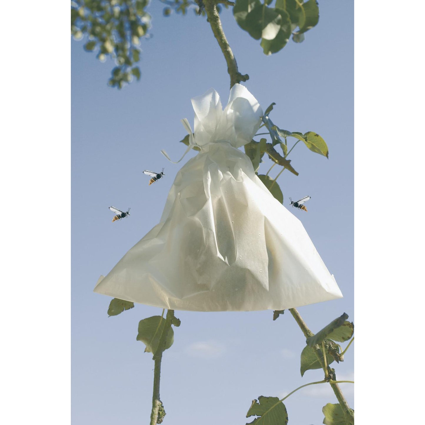 Fruchtschutzhüllen Nortene 50 Stück 20 x 30 cm.