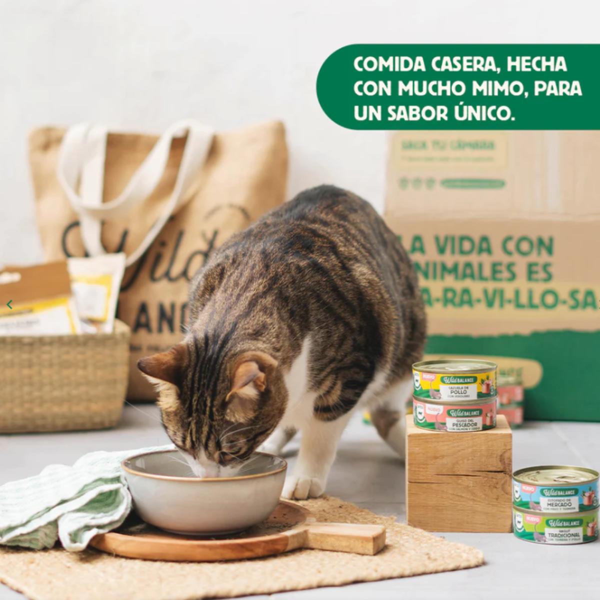 Boîte complète de ragoût du marché à la dinde et au bœuf pour chats Wild Balance 80 g