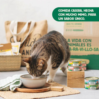 Boîte complète de ragoût du marché à la dinde et au bœuf pour chats Wild Balance 80 g