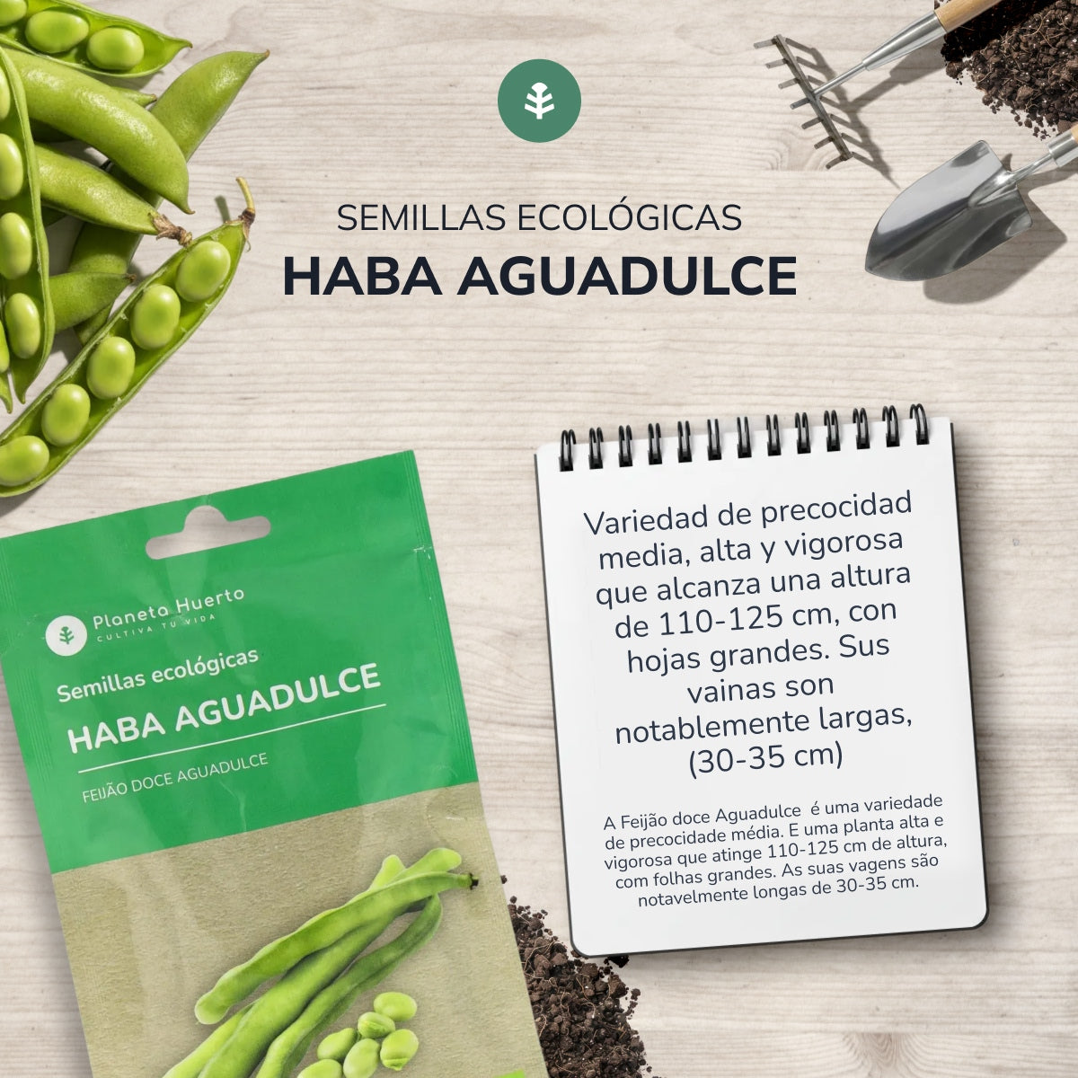 Semillas de Haba Aguadulce ecológicas Planeta Huerto