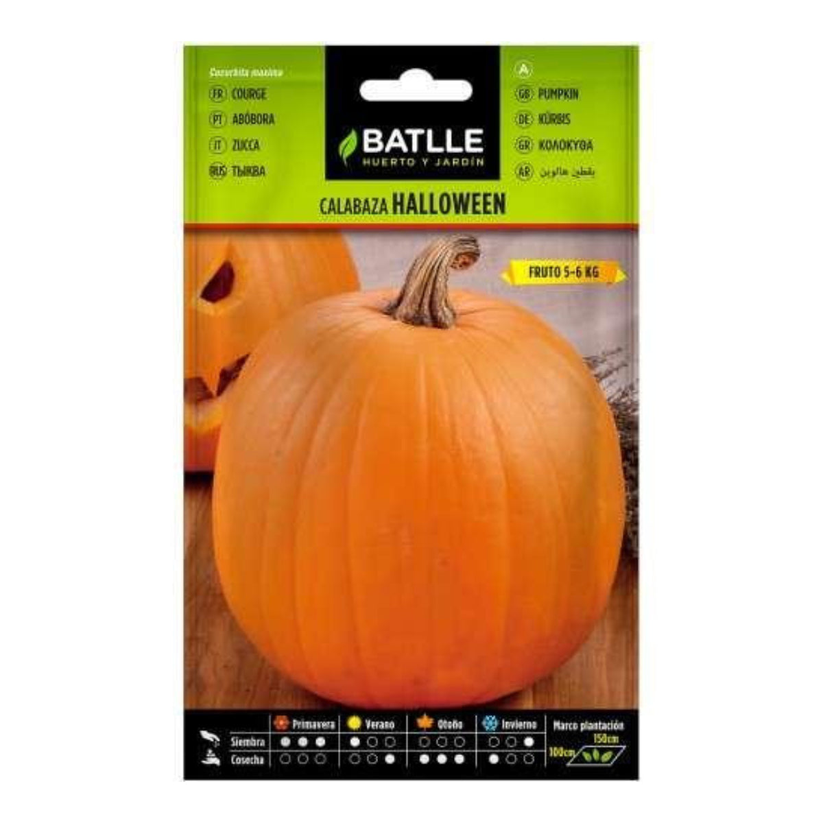 Pumpafrön Halloween Batlle