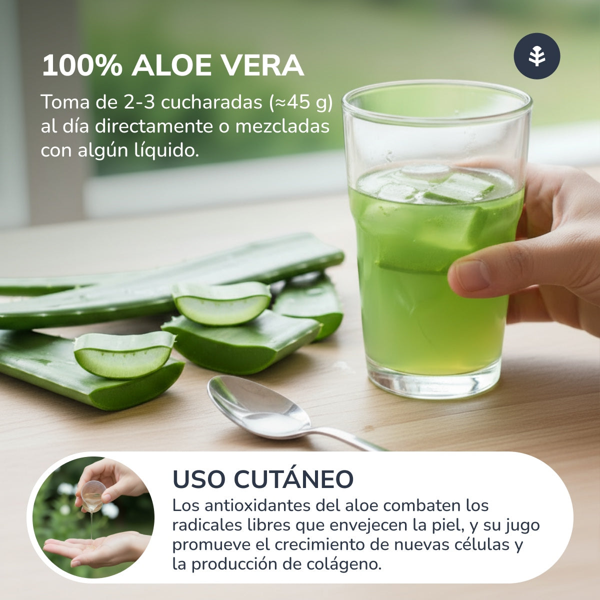 Aloe Vera Juice Planeta Huerto 1 L.