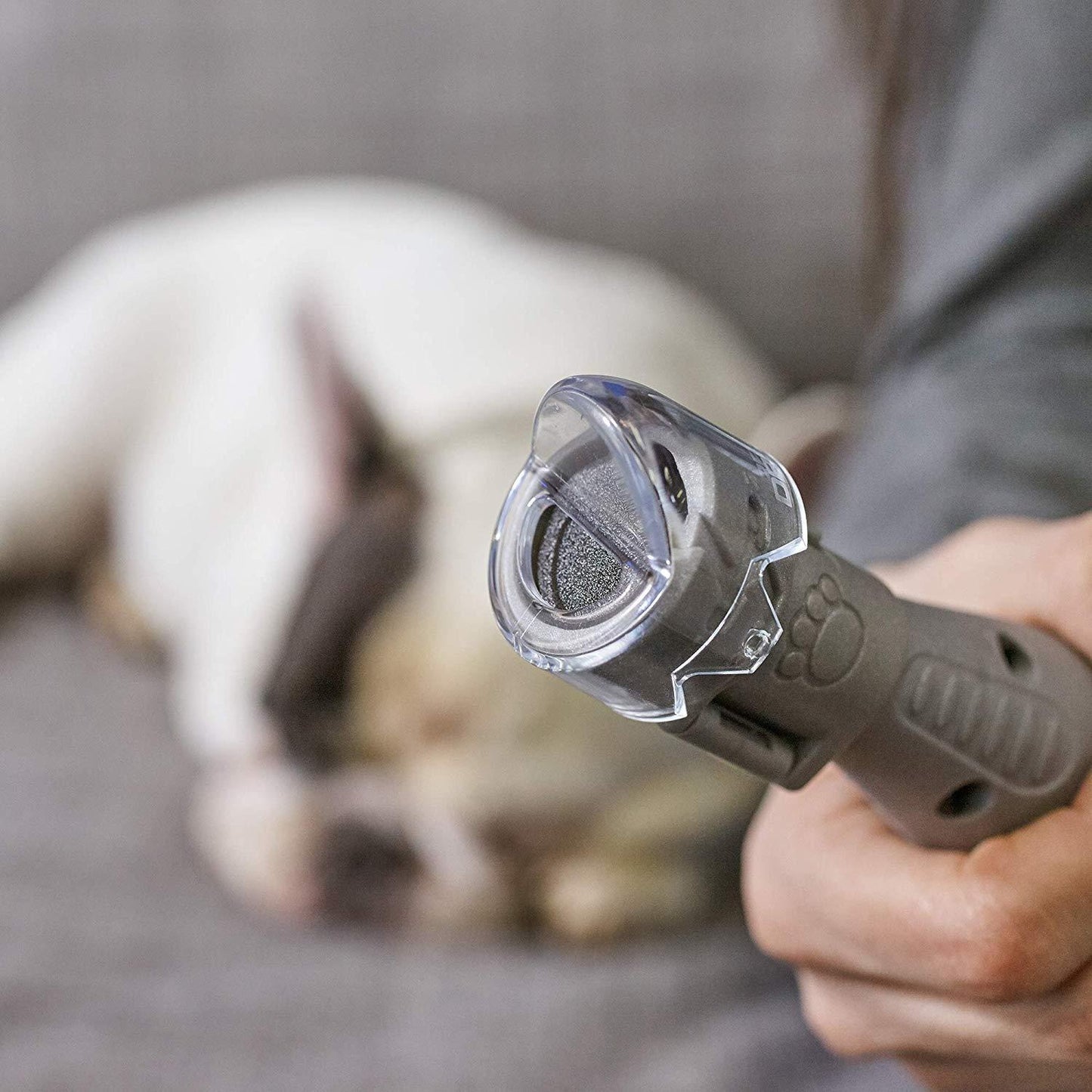 Verzorgingsset voor de nagels van huisdieren Dremel 7020-PGK