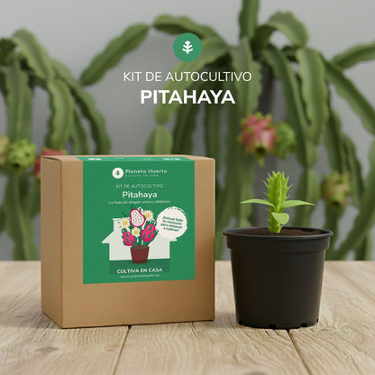 Pitahaya zelfkweekkit voor drakenvruchten Planeta Huerto