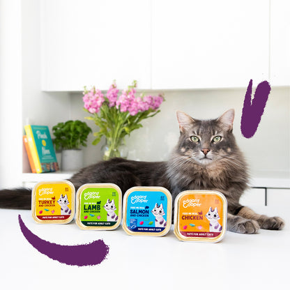 Natvoer voor katten, paté, Edgard & Cooper, kalkoen en kip, 85 g