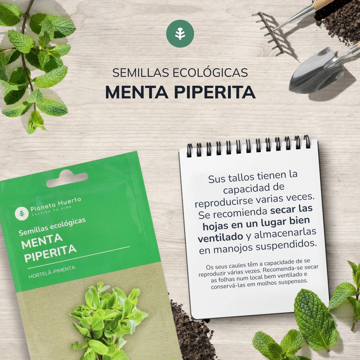 Graines bio de Menthe poivrée Planeta Huerto