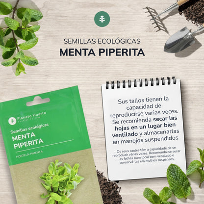 Graines bio de Menthe poivrée Planeta Huerto