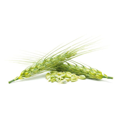 Lievito di birra El Granero, 500 compresse da 400 mg