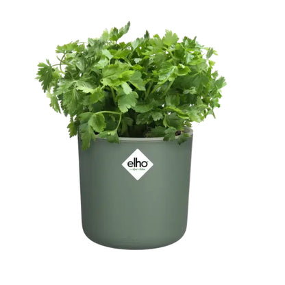 Blumenkasten für Kräuter mit Selbstbewässerung Happy Herbs Elho 14 cm