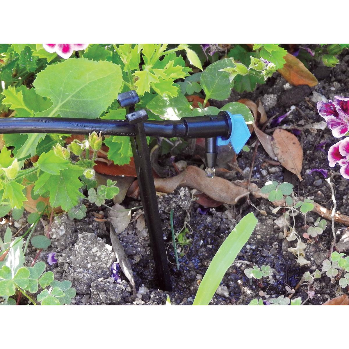 Compte-gouttes Bandera 4 l/h Aqua Control 25 unités