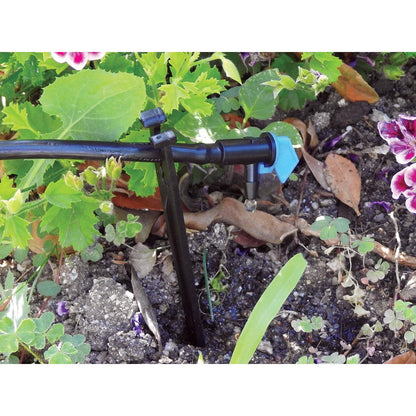 Compte-gouttes Bandera 4 l/h Aqua Control 25 unités