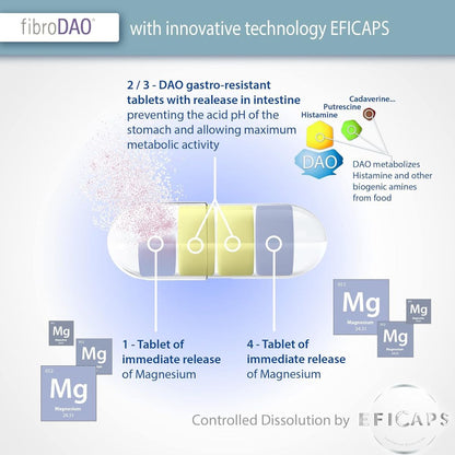 fibroDAO® 60 kapsułek z tabletkami odpornymi na działanie żołądka