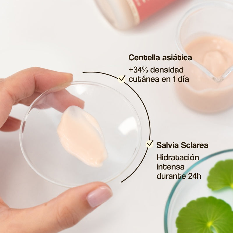 Bloom Orchid Freshly gezichtscrème 50 ml