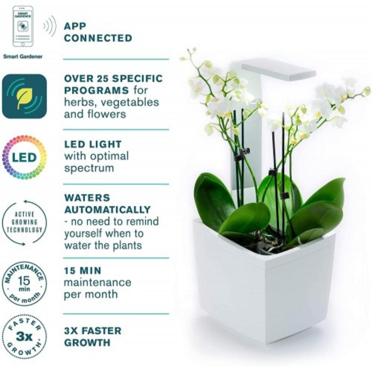 Zelfkweekpot T3 Kitchen Garden 20 x 17,5 cm Zwart