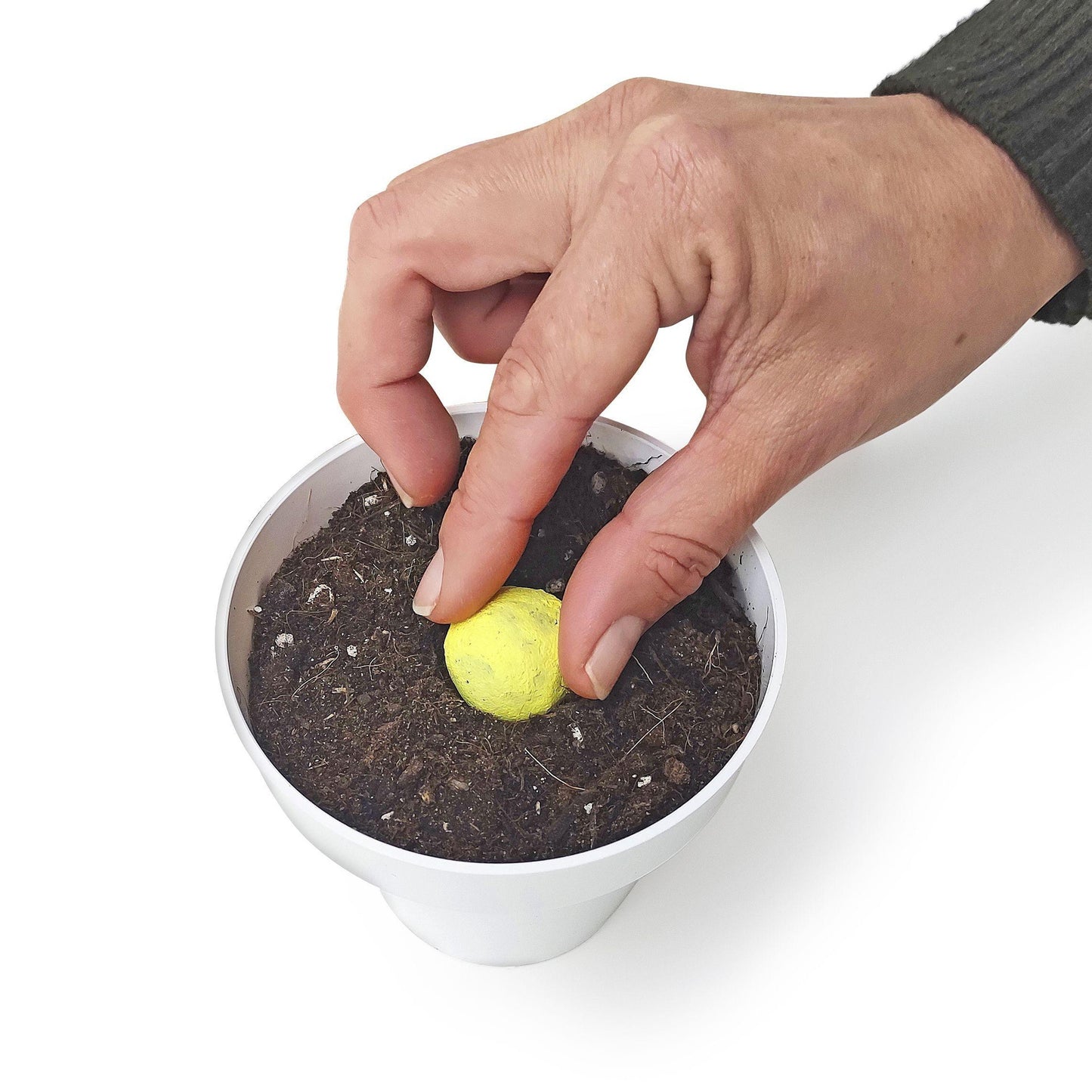 Zaadpompen Huerta Mediterránea