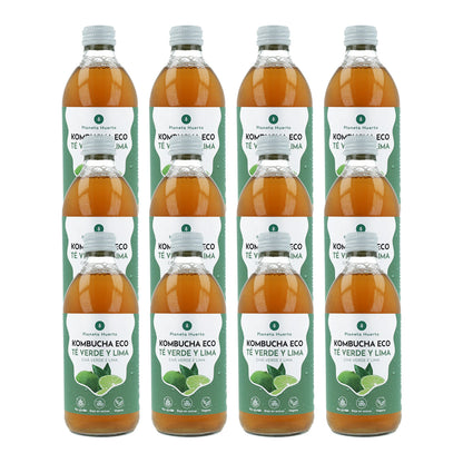Pakket 12x Kombucha ECO groene thee en limoen Planeta Huerto 330 ml