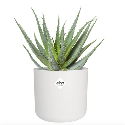 Pot de fleur B.for Soft Round Elho Blanc 18 cm