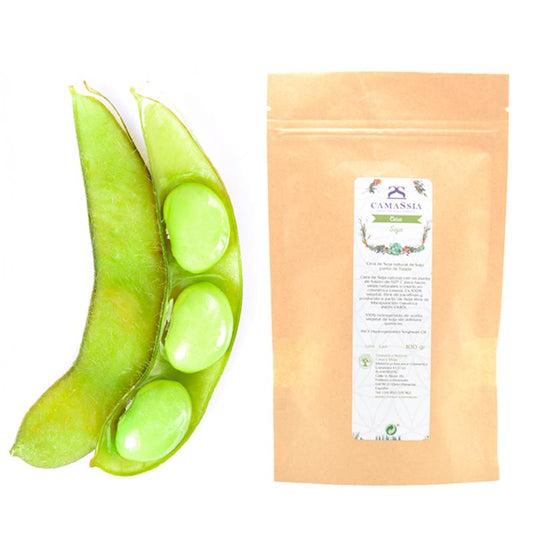 Camassia Soy Wax 100 g
