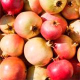 Huile corporelle à la grenade WELEDA 100 ml