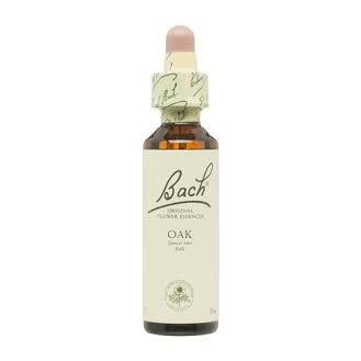 Bach 22 Oak 20 ml (Bachblommor Ek) Bach