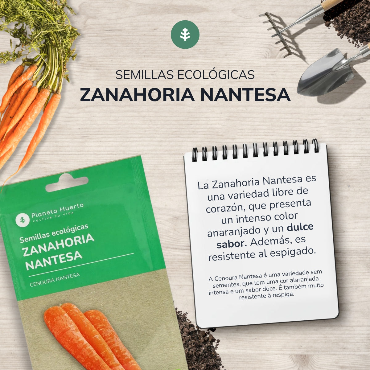 Organic Carrot Seeds Nantesa Planeta Huerto