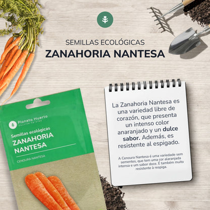 Organic Carrot Seeds Nantesa Planeta Huerto