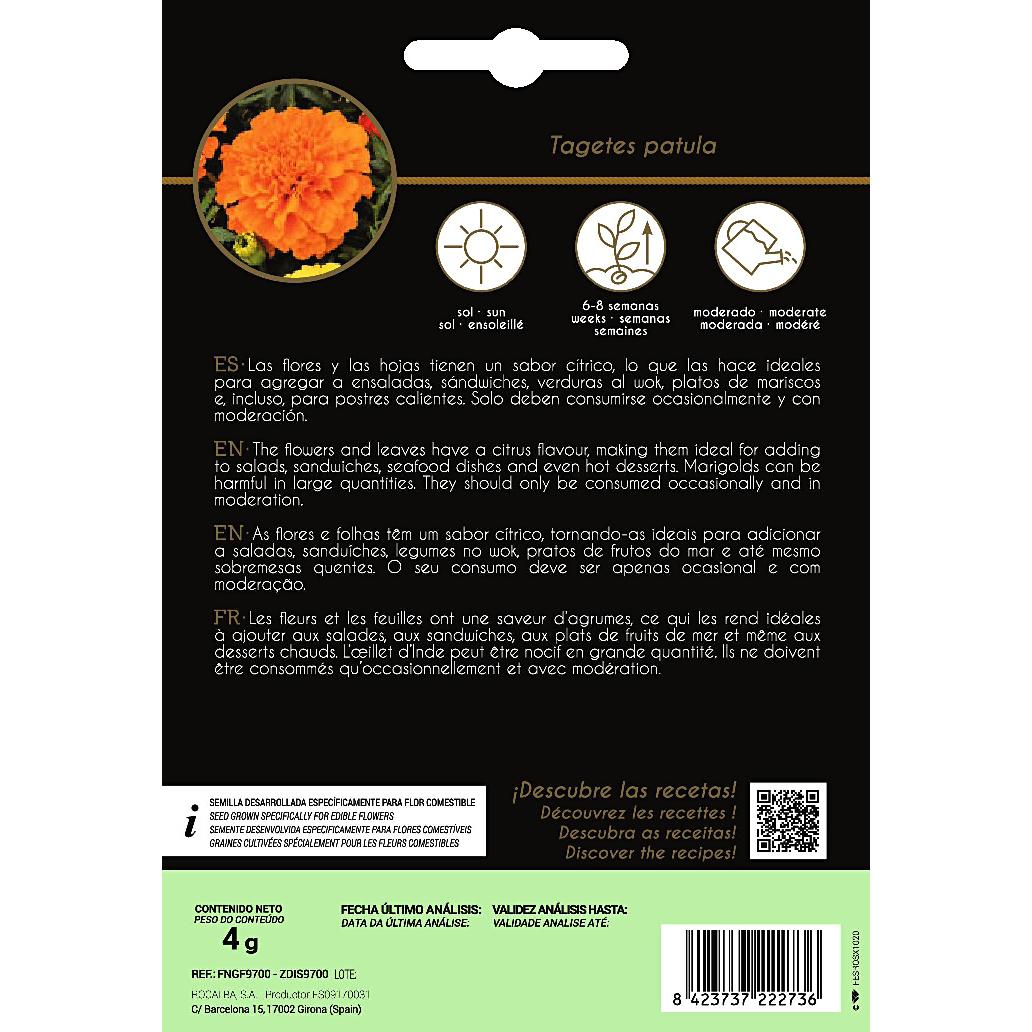 Semi di fiori commestibili di Tagete Rocalba