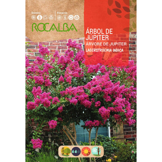 Graines d'arbre de Jupiter Lagerstroemia indica