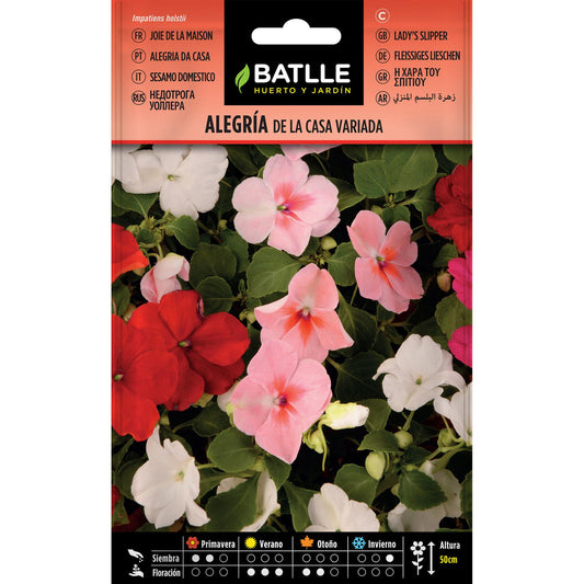 Assorted Batlle alegrías seeds