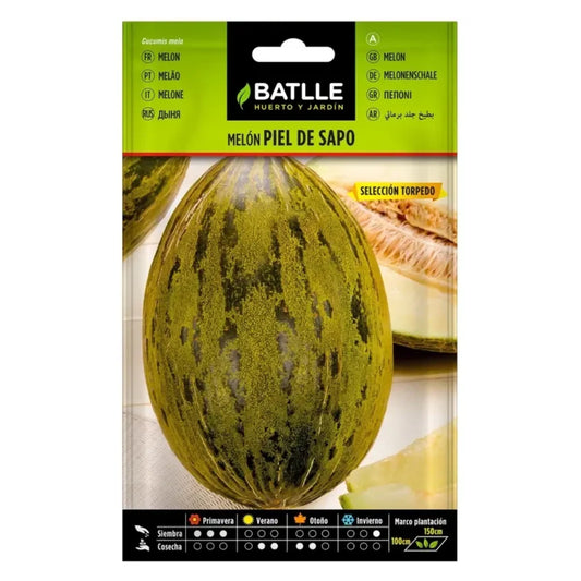 Graines de melon peau de crapaud sel. Torpedo Batlle