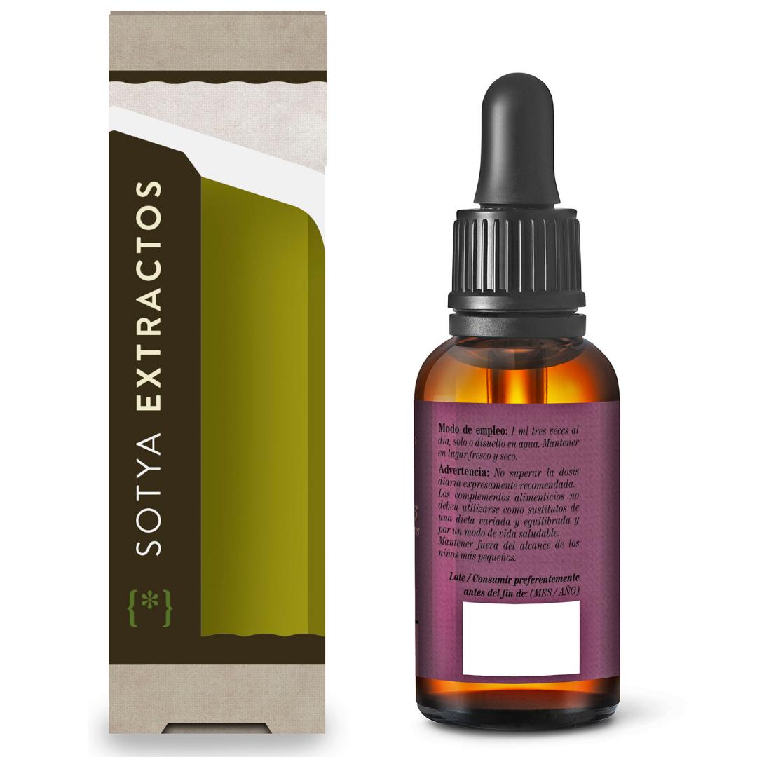 Echinacea 50 ml Sotya