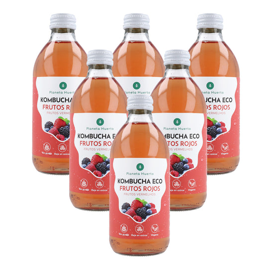 Packung 6x Kombucha ECO Rote Früchte Planet Orchard 330 ml