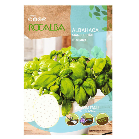 Genoa basil seeds in discs, Rocalba